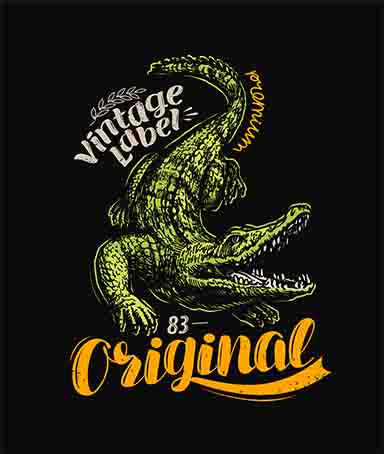 Crocodile